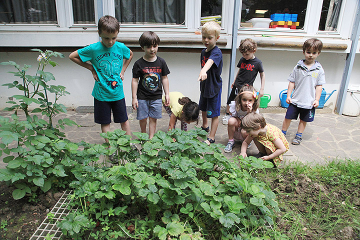 proposte scuola infanzia a bergamo